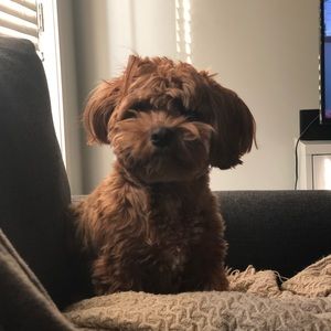 Meet your Posher, Stephanie